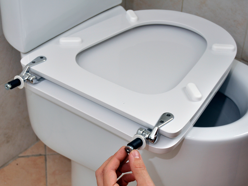 sostituzione asse wc