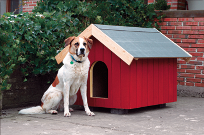 costruire una cuccia per cani