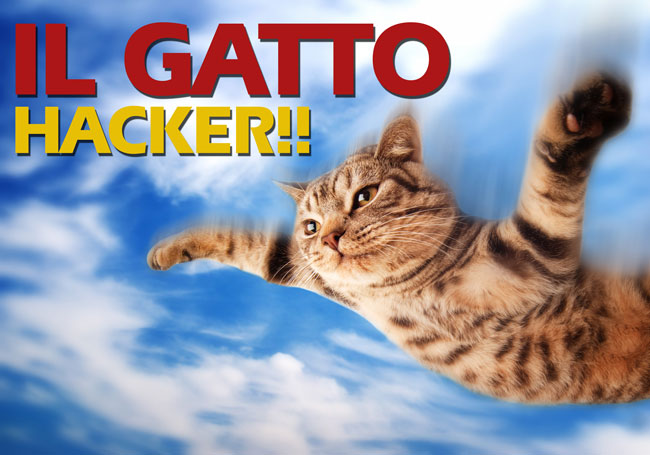 gatti hacker