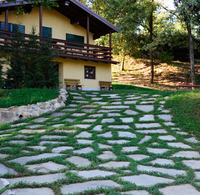 pietra naturale