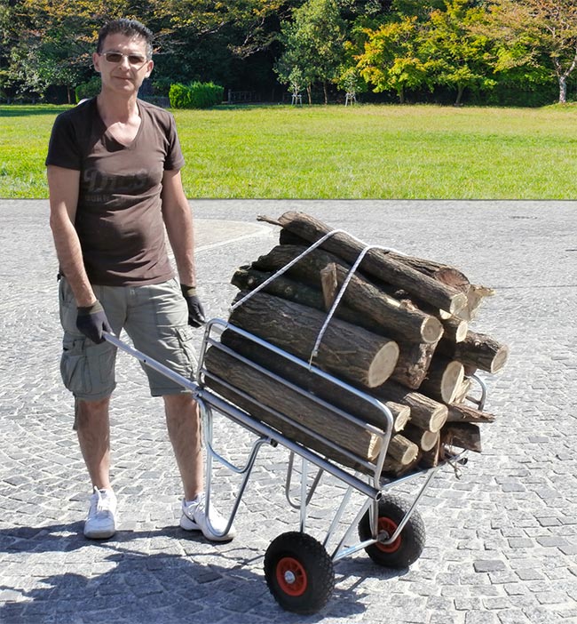carrello portalegna fai da te