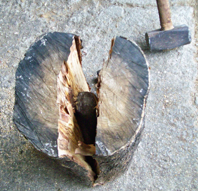 legno di ulivo