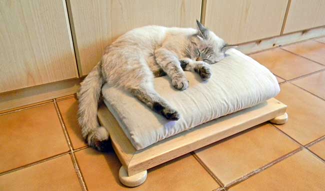 cuccia in legno per gatti