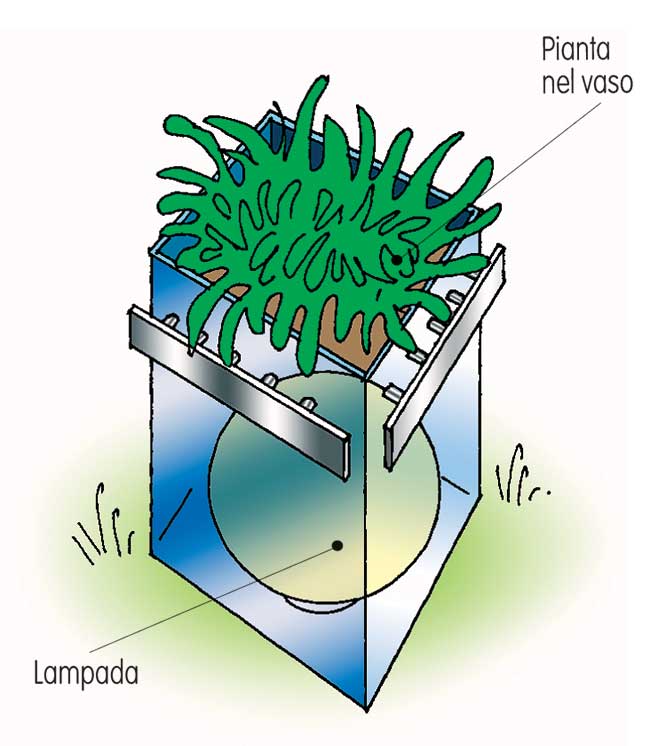 lampada fioriera fai da te 5