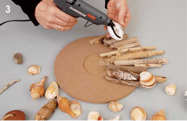 incollare conchiglie