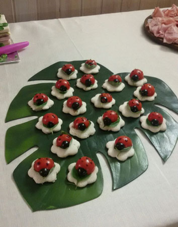 coccinelle