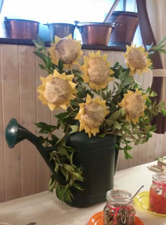 girasoli