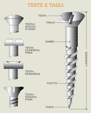 vite-disegno