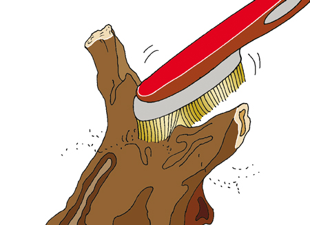 spazzolare-legno