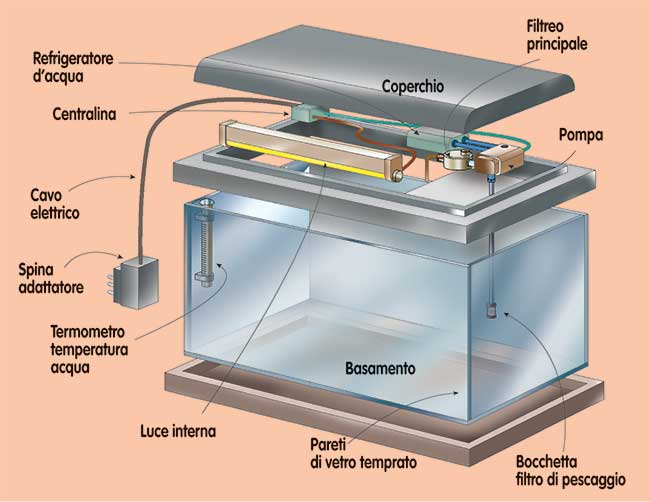 acquario progetto fai da te