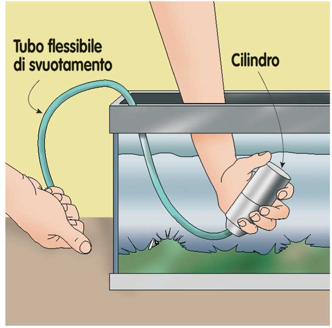 campana acquario