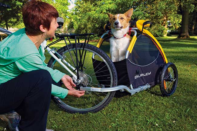trasportino cani per bici