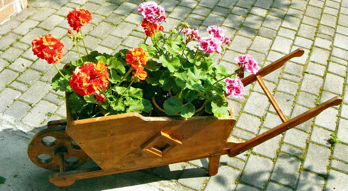carriola in legno