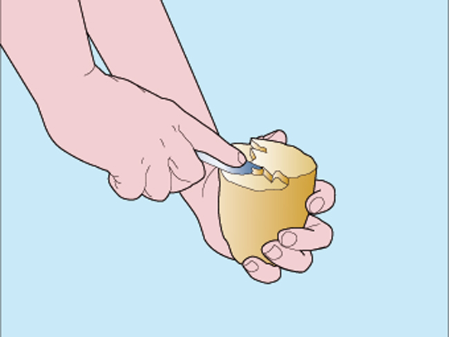 timbro-patata