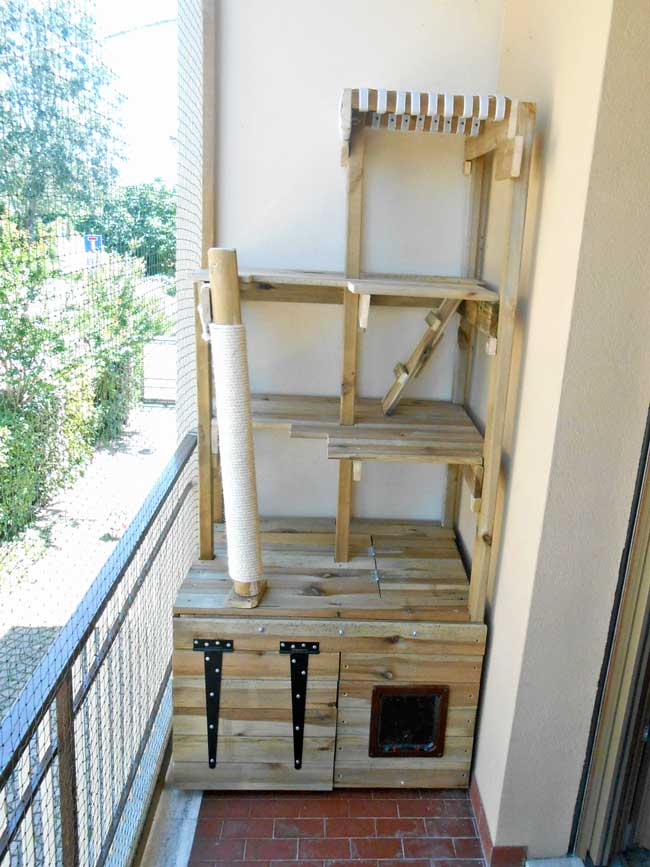 casetta per gatti