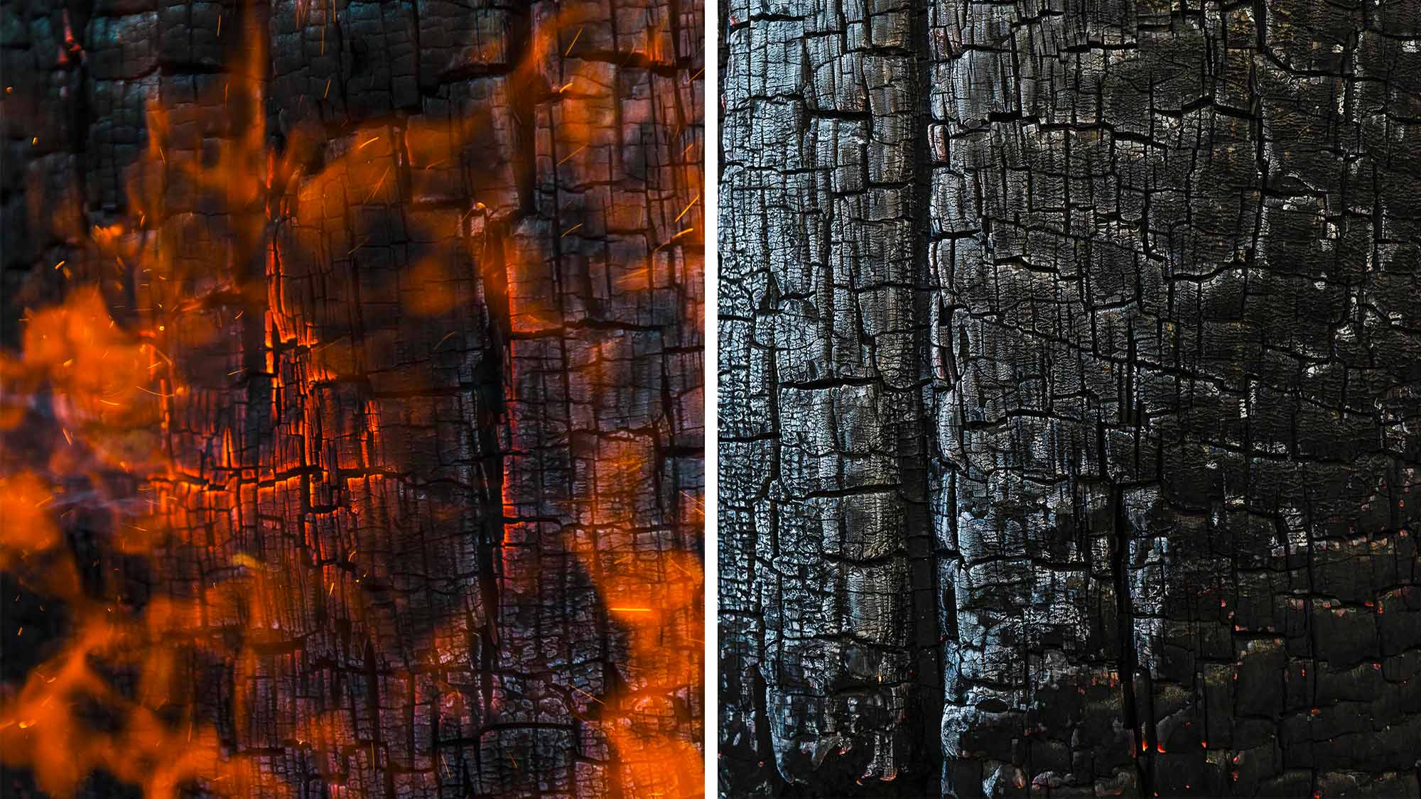 Shou Sugi Ban