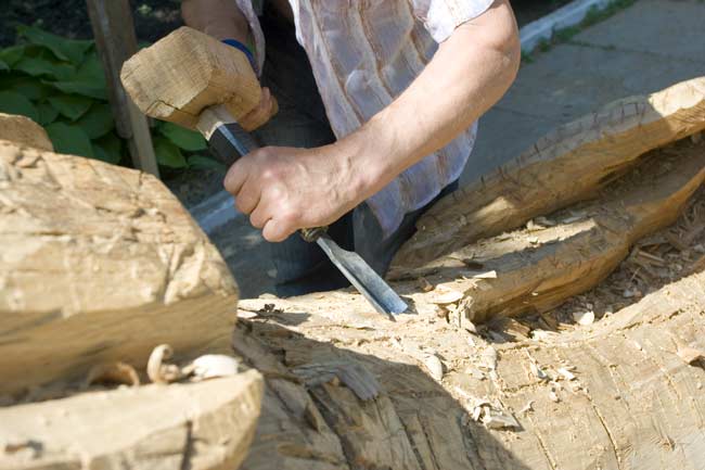 sgorbia per legno