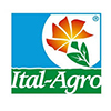 ital100