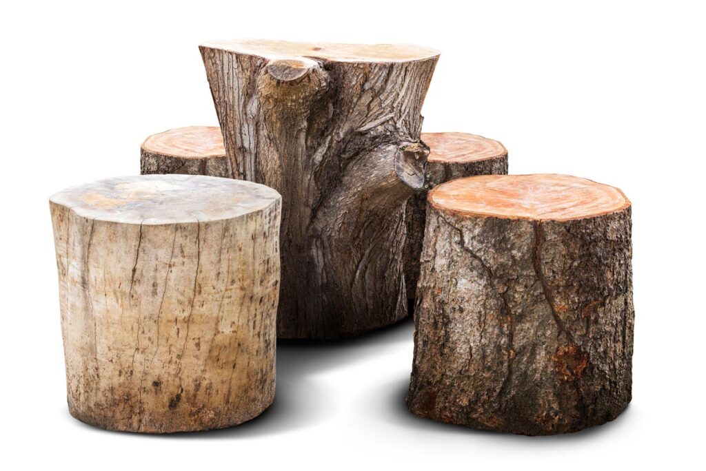 Cosa si può realizzare con un tronco di legno