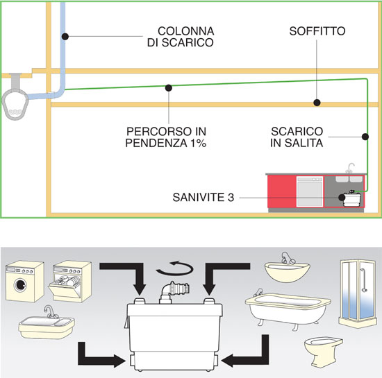 collegamenti sanivite
