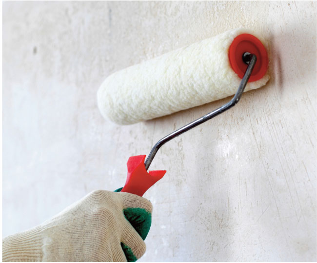 pittura antimuffa