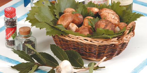 cesto di funghi porcini