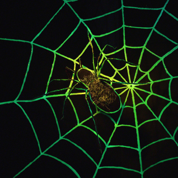 Ragnatela fluorescente per ragno Halloween