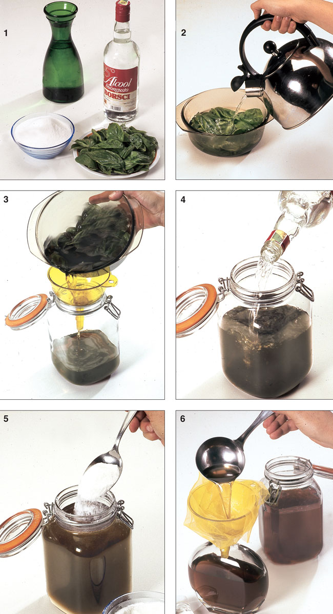 liquore al basilico, basilico, liquore, ricette basilico