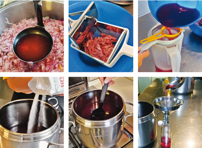 Preparazione sciroppo di rose