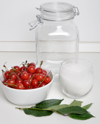 ingredienti amarene sciroppate