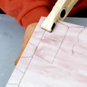 Pinza a becchi piatti