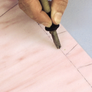 Tagliavetro professionale
