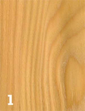 essenze legno, essenze naturali del legno, legno essenze, essenza legno, essenze di legno, essenze, colori legno, 
