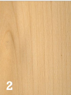 essenze legno, essenze naturali del legno, legno essenze, essenza legno, essenze di legno, essenze, colori legno, 
