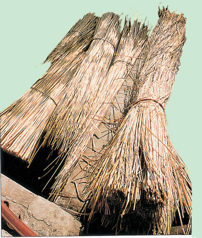 paglia di segale