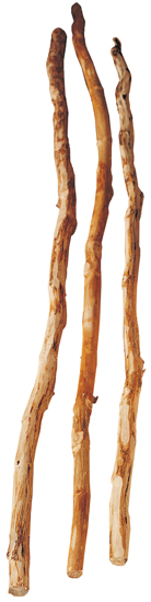 Rami per gambe mobili rustici