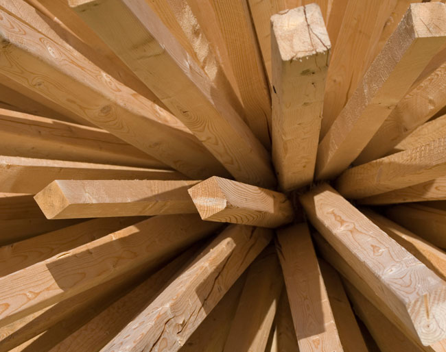 tipi di legno, vari tipi di legno, formati legno, tavole di legno, travi di legno, listelli di legno, perline di legno tondini di legno, prefiniti di legno