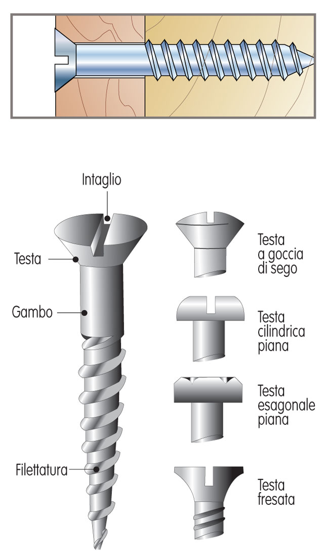 vite a testa piatta