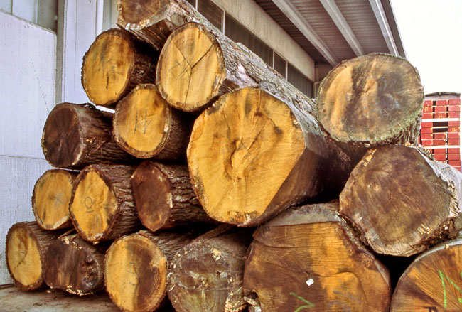 tavole di legno, legno, fai da te, stoccaggio legno, composizione del legno