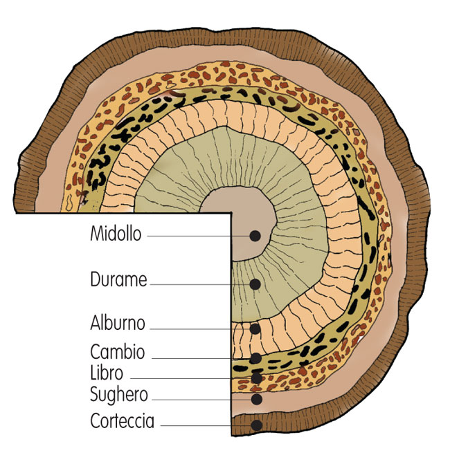 tavole di legno, legno, fai da te, stoccaggio legno, composizione del legno