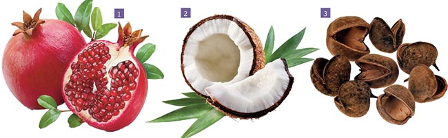 frutti decorativi