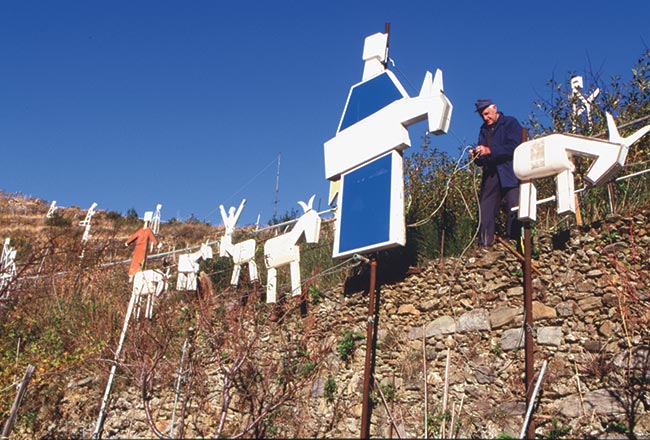 il presepe di Manarola